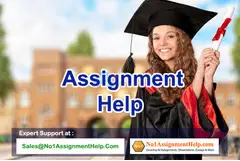 Get The Best Assignment Help At No1AssignmentHelp.Com - 1