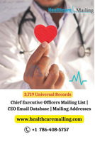 How can I use a Hospital CEO Email List to convince the CEOs to purchase from me? - 1