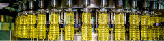 Maticline Liquid Filling Bottling Line Co., Ltd - 2